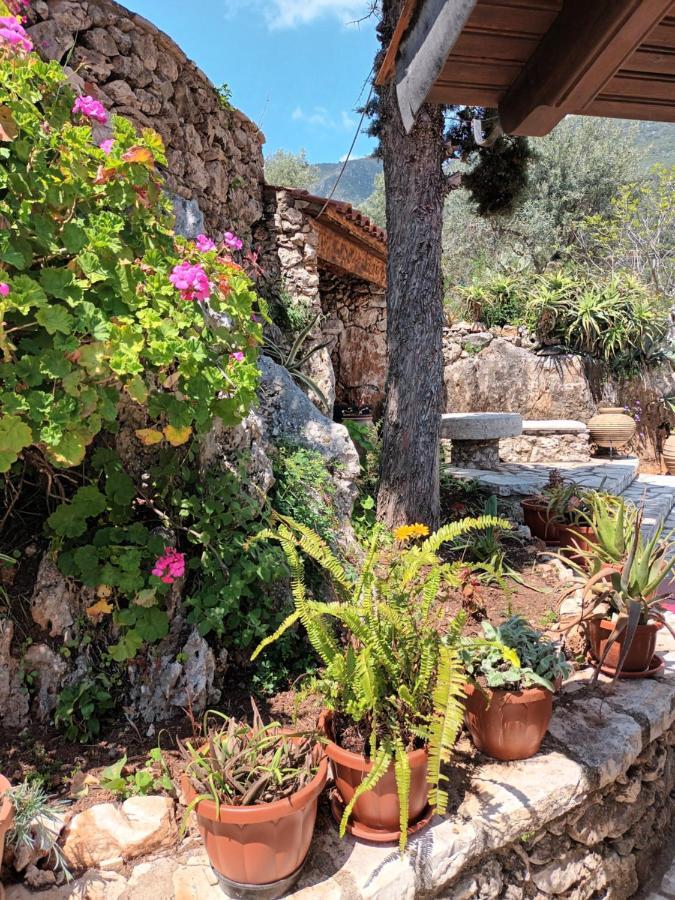 Aphrodite'S Maisonette On Corfu Island 바바티 외부 사진